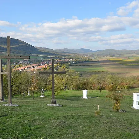 Virag Vendeghaz Hercegkut